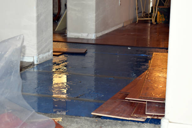 Professional Basement Flood Cleanup technician working in Wharton, NJ